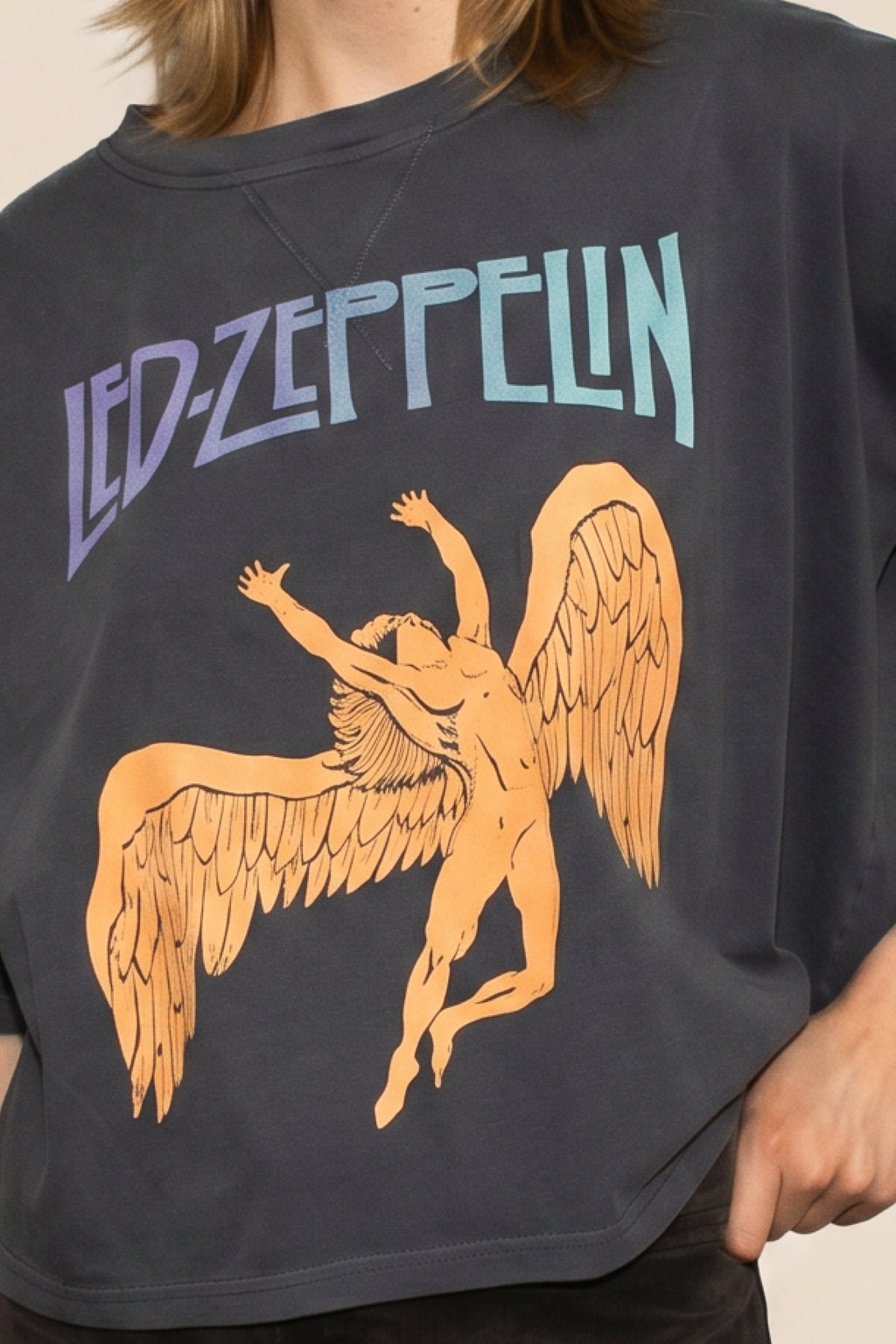 Led Zeppelin Swan Cropped Tee