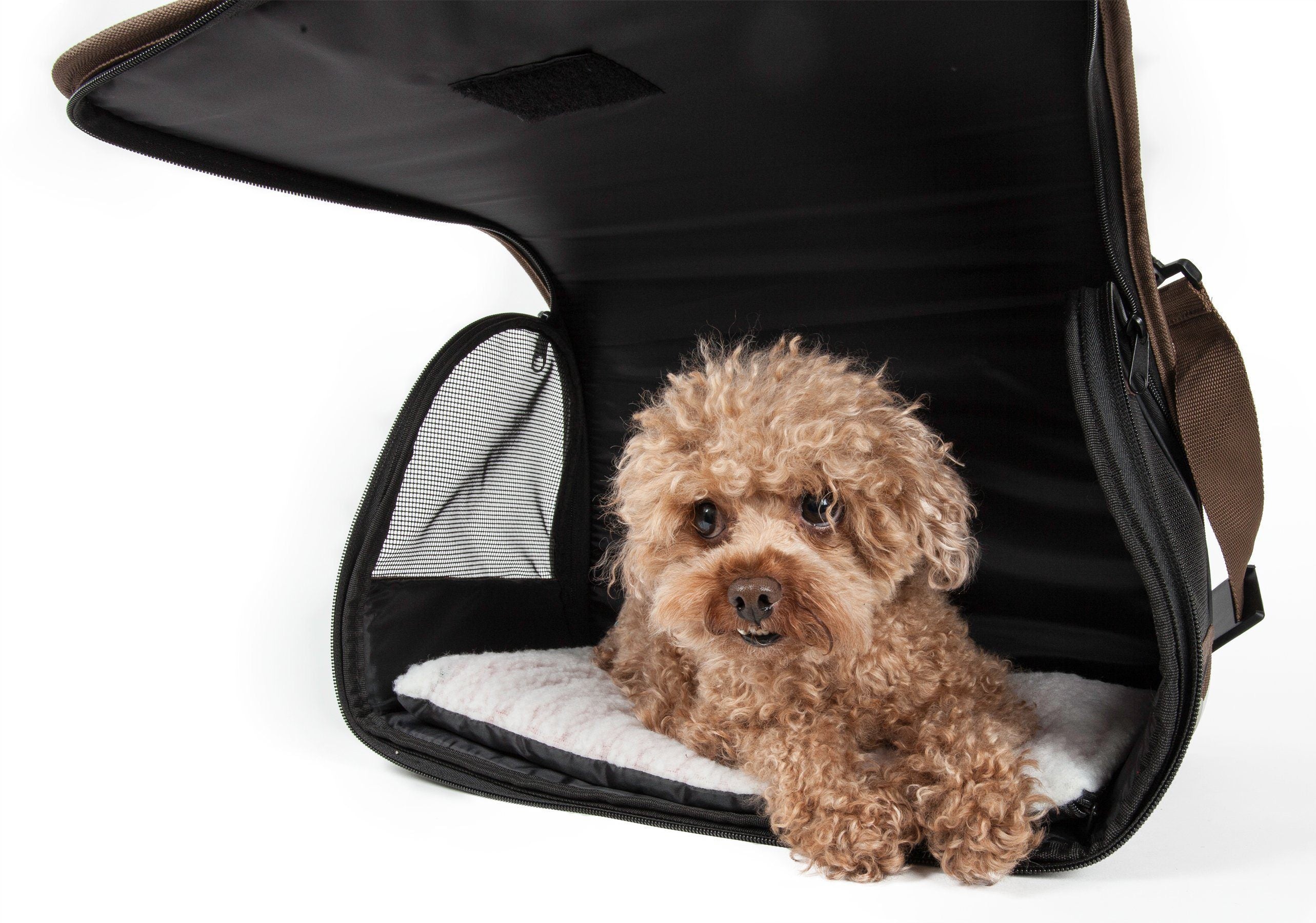Pet Life ® Casual Polka-Dotted Airline Approved Folding Zippered Collapsible Travel Pet Dog Carrier w/ Pouch